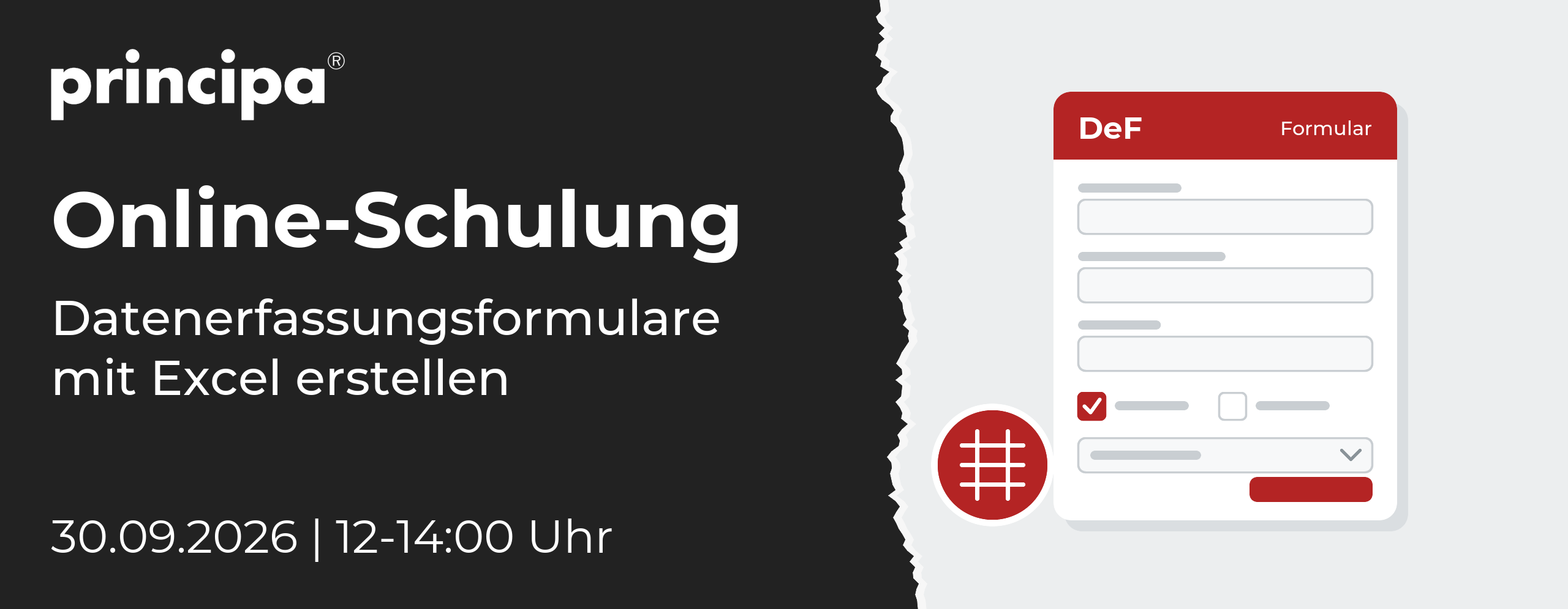Schulung-principa-Datenerfassungsformulare-Excel-v2 Online-Schulung: Datenerfassungsformulare mit Excel erstellen, 30.09.2026, 12-14:00 Uhr